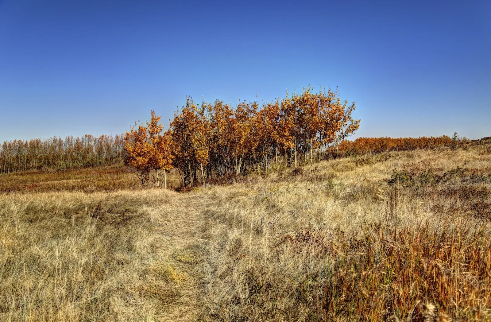 IMG_3816_17_18_19_20_21_22_fused.jpg