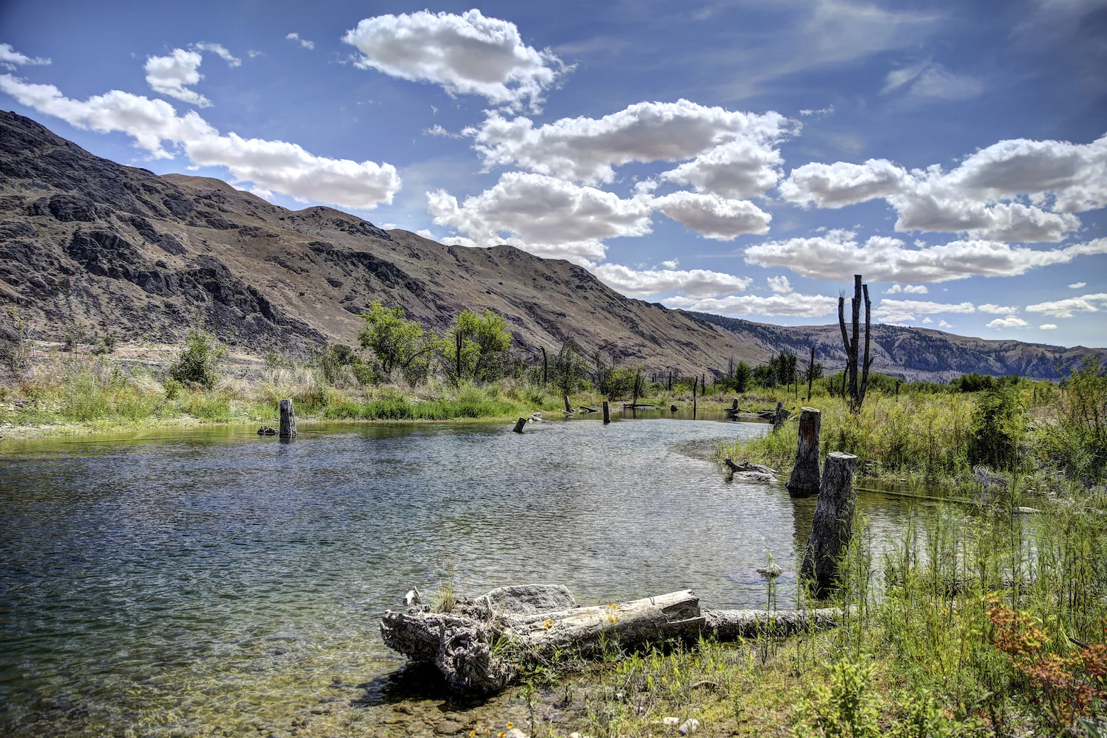 2015 JUL RT 2-24.JPG