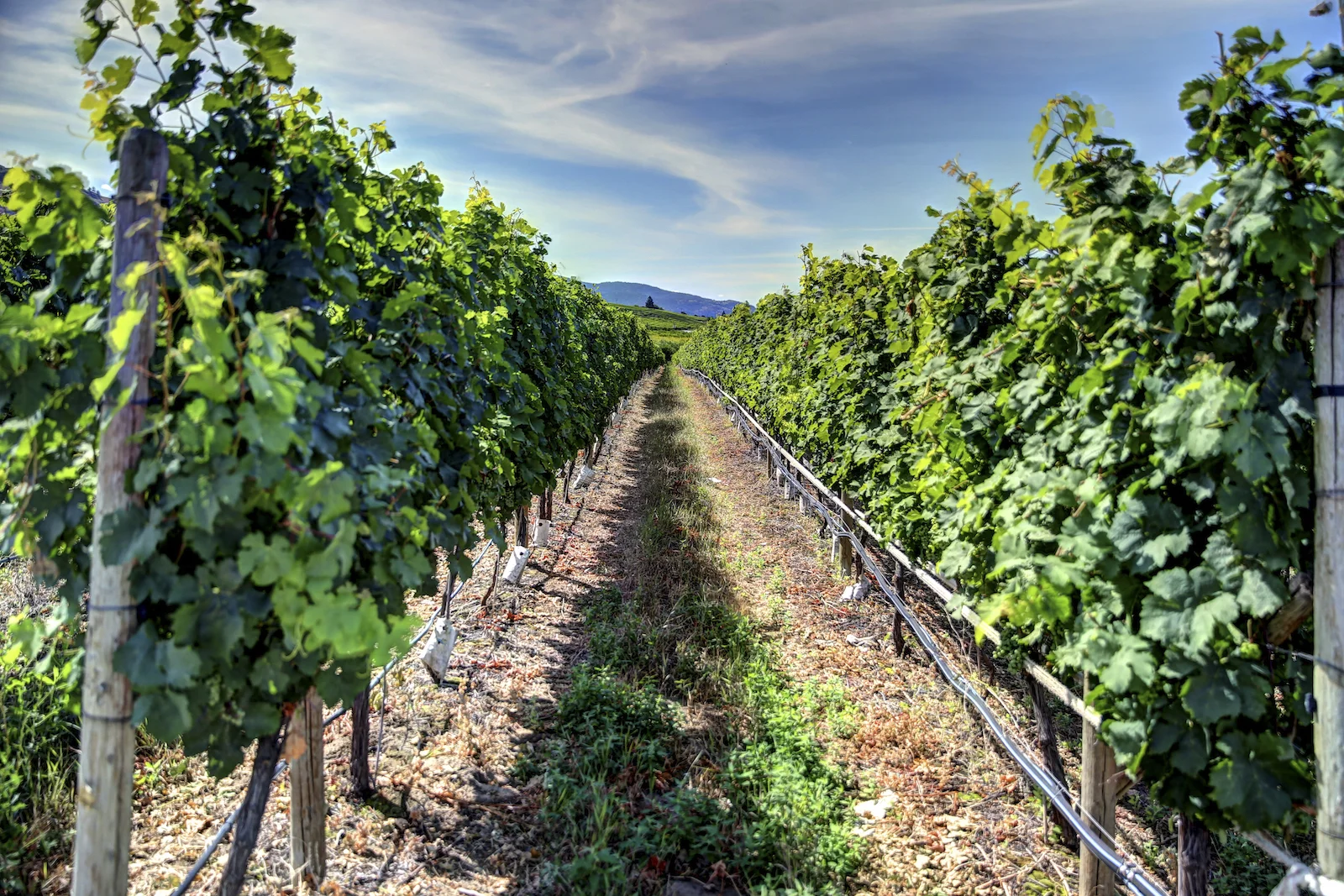 2015 JUL RT 2-31.JPG