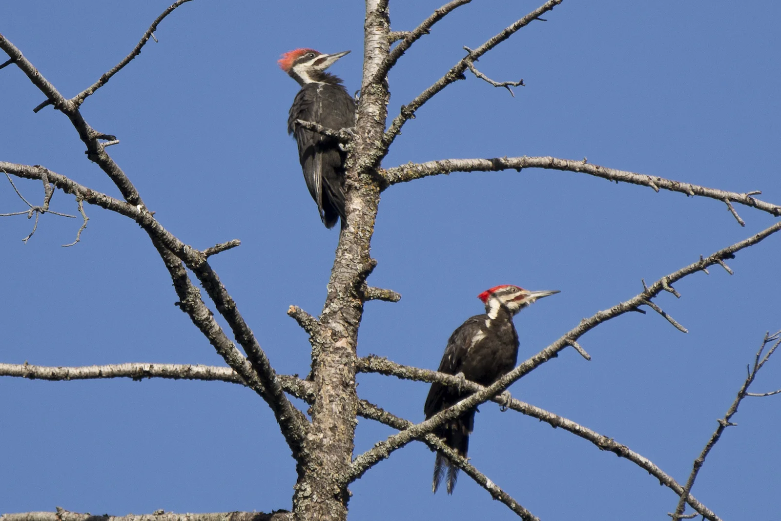 2015 JUL RT 2-48.JPG