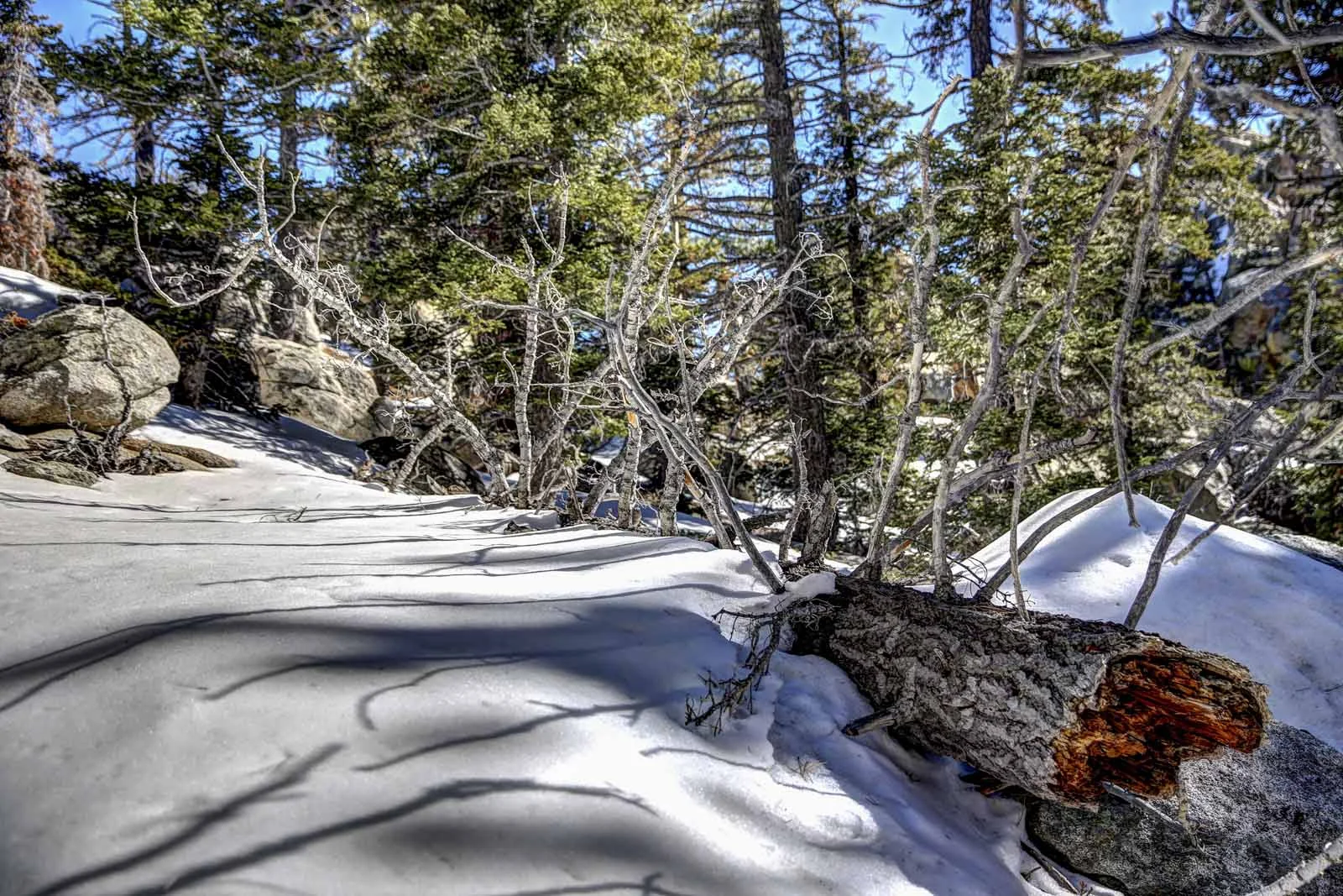 2016 PS LANDSCAPES-7.JPG