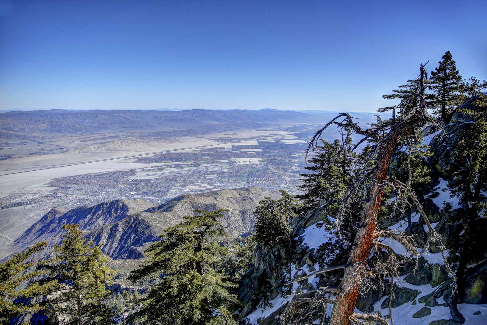 2016 PS LANDSCAPES-19.JPG