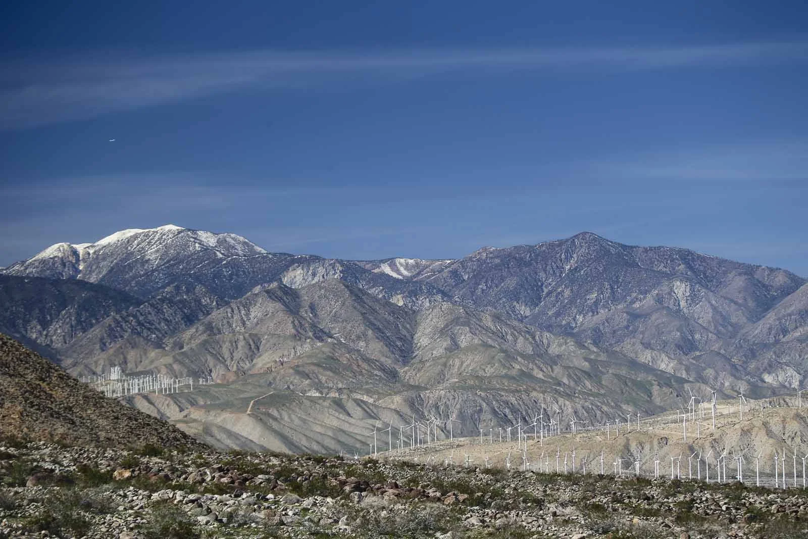 2016 PS LANDSCAPES-24.JPG