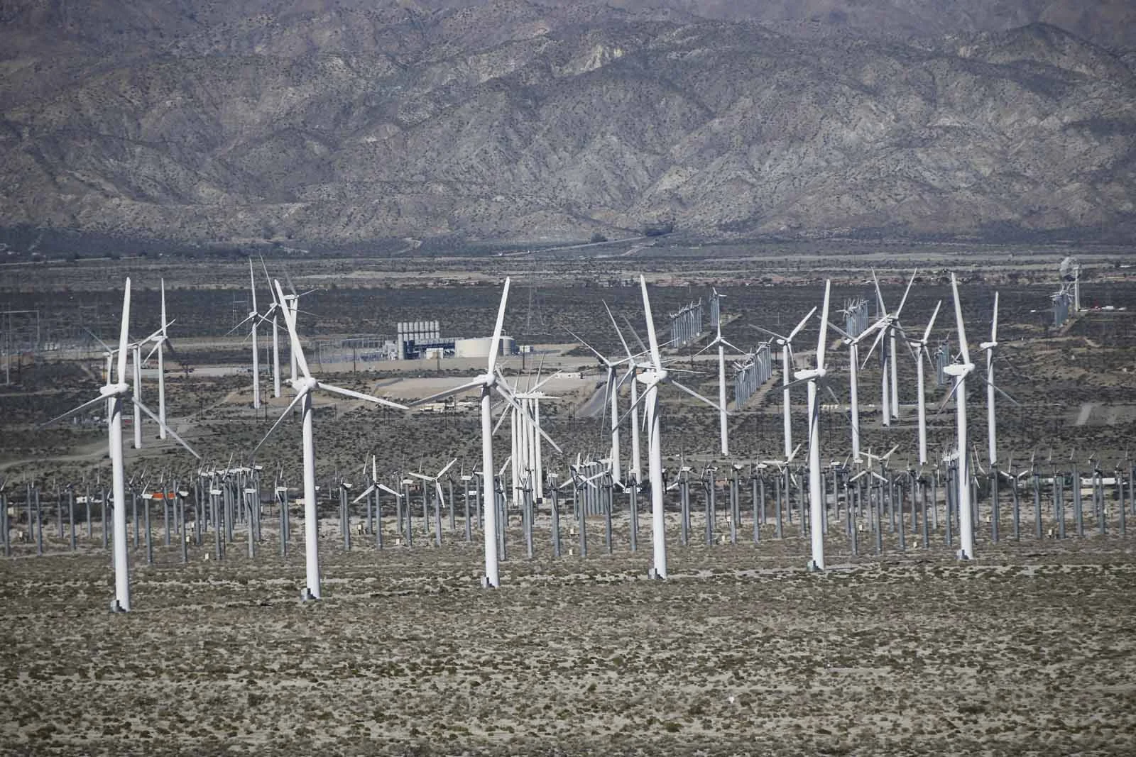 2016 PS LANDSCAPES-26.JPG