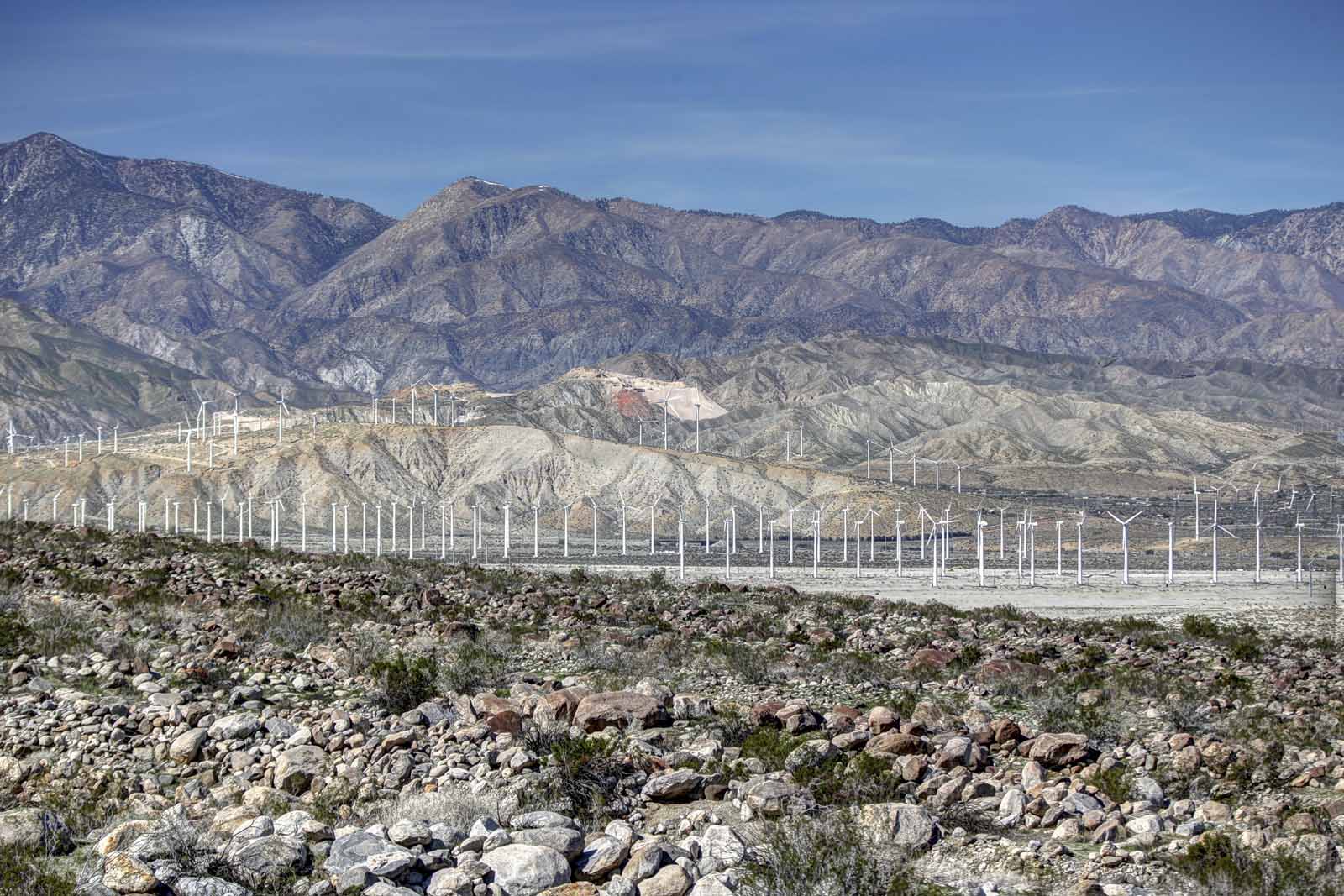 2016 PS LANDSCAPES-29.JPG