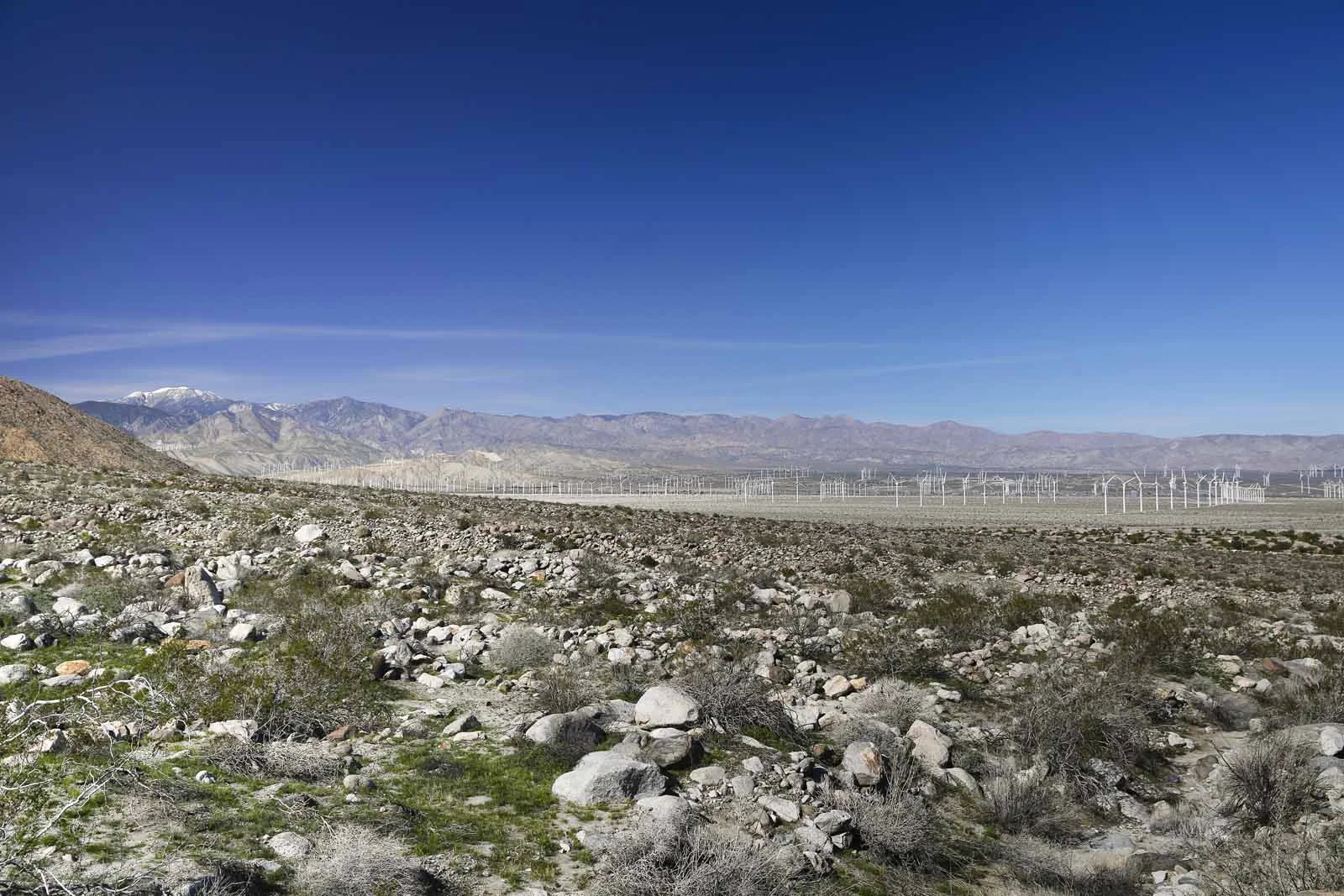 2016 PS LANDSCAPES-31.JPG