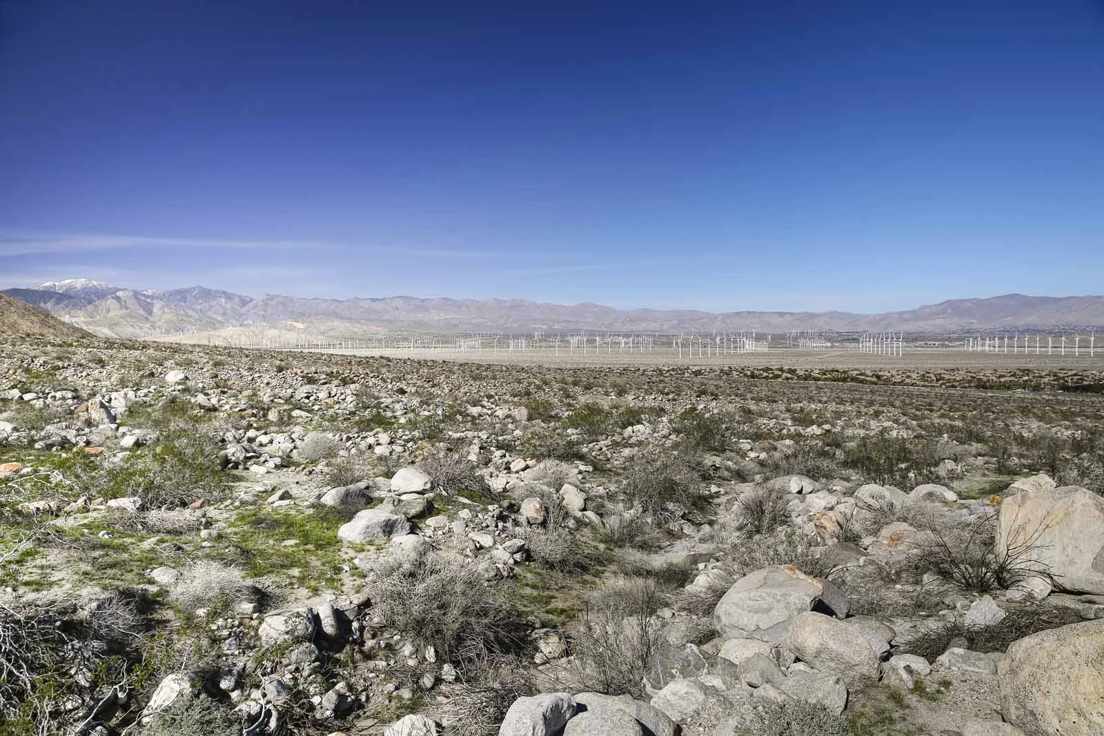 2016 PS LANDSCAPES-33.JPG