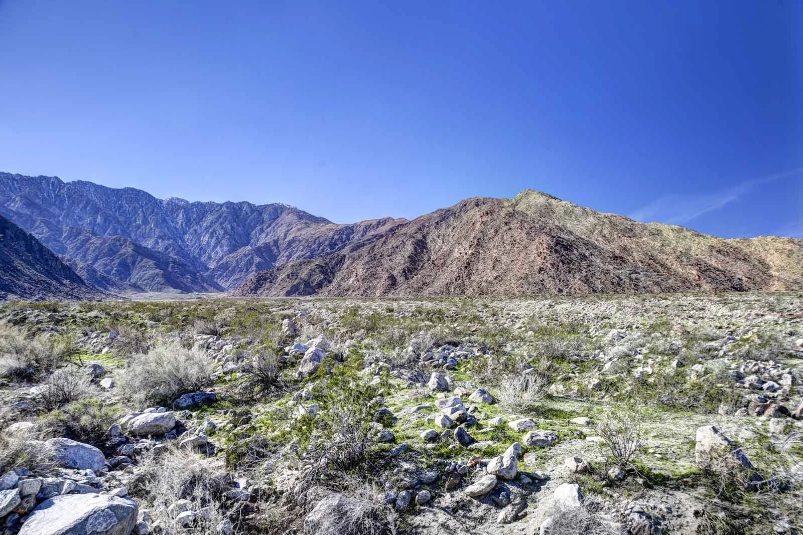 2016 PS LANDSCAPES-34.JPG