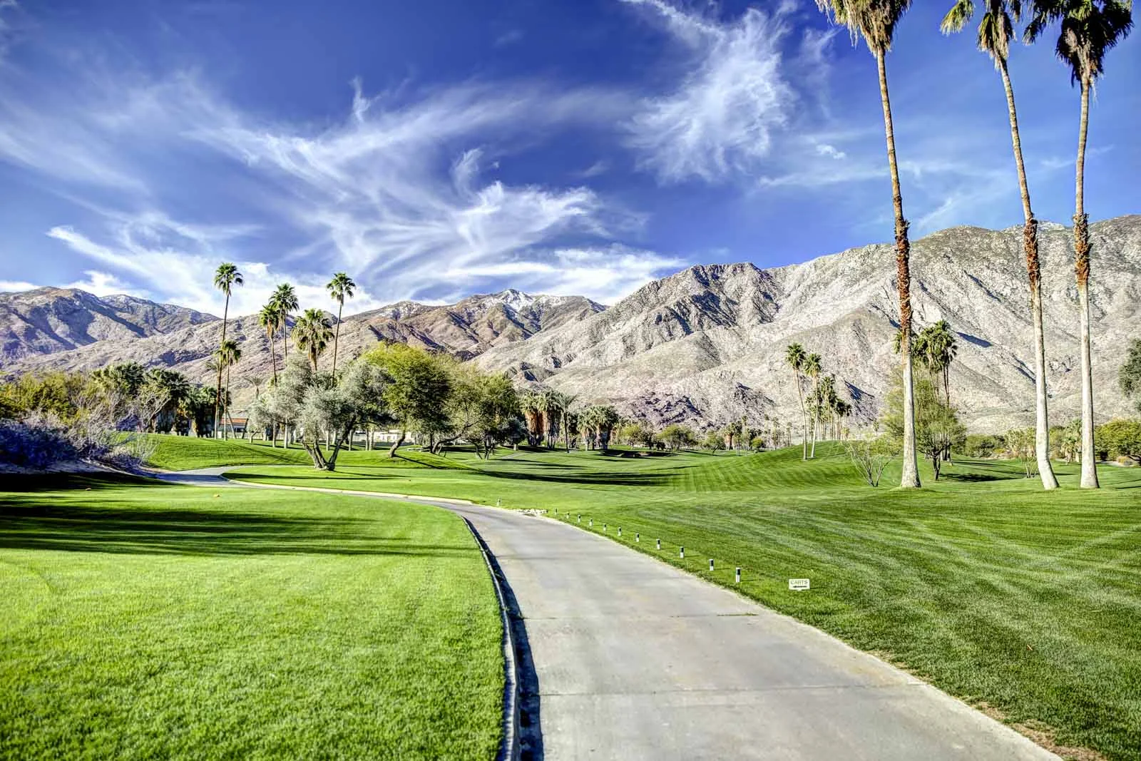 2016 PS LANDSCAPES-45.JPG