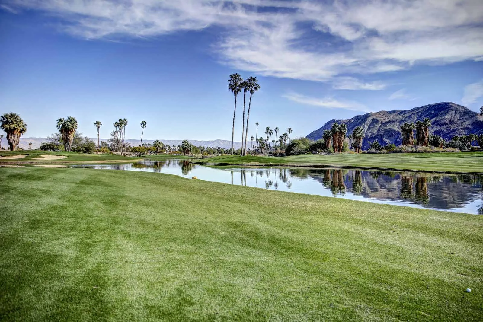 2016 PS LANDSCAPES-48.JPG