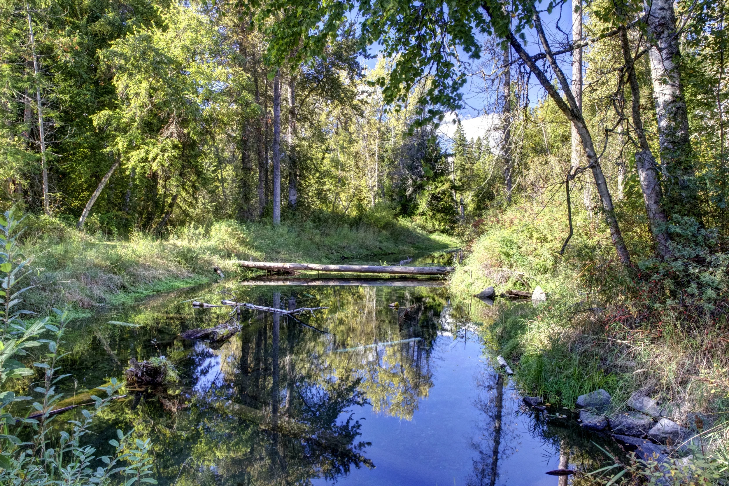 201409 CABIN 2.jpg