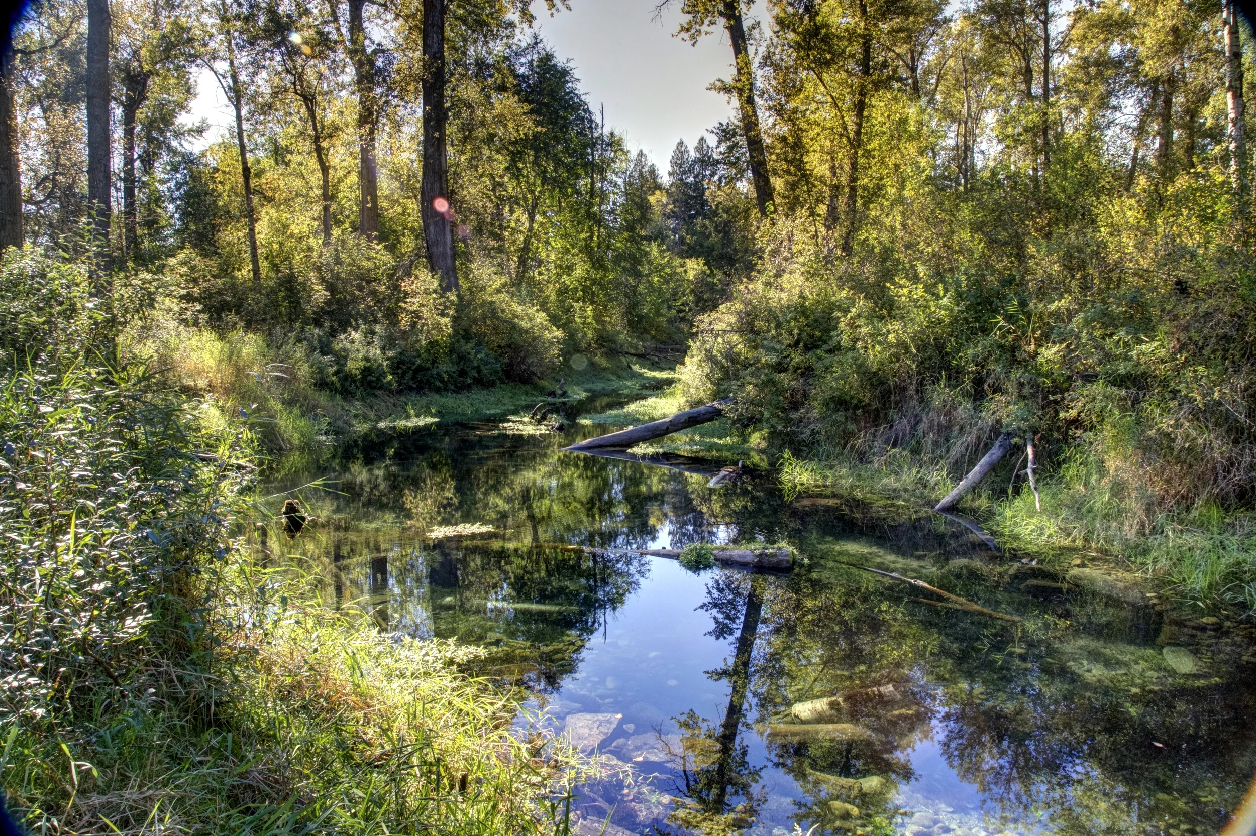 201409 CABIN 3.jpg