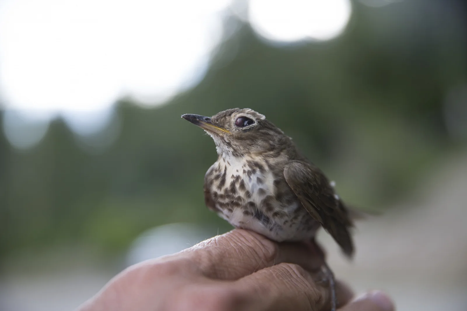 2015 JUL RT 2-46.JPG