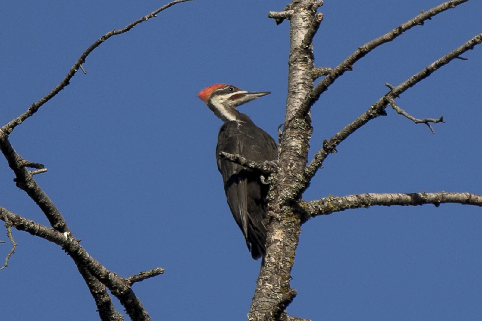 2015 JUL RT 2-47.JPG