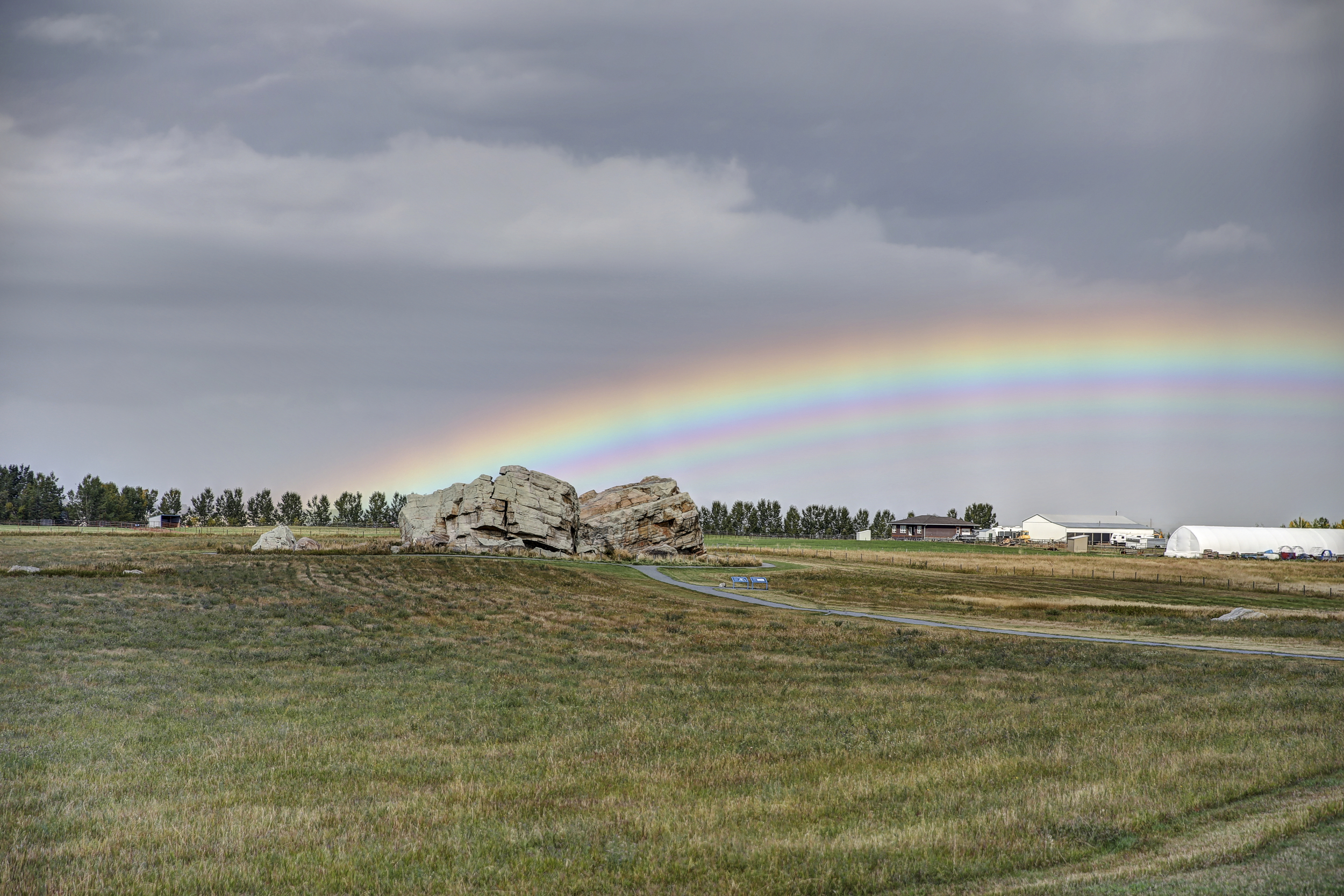 2015 CRANBROOK-8.JPG