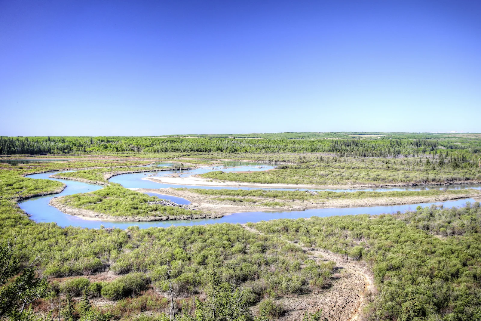 2016 Weaslehead-11.JPG