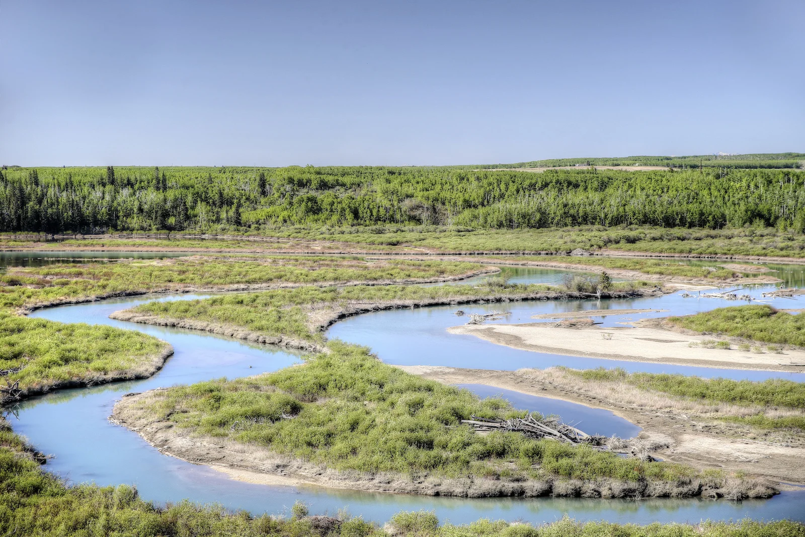 2016 Weaslehead-12.JPG