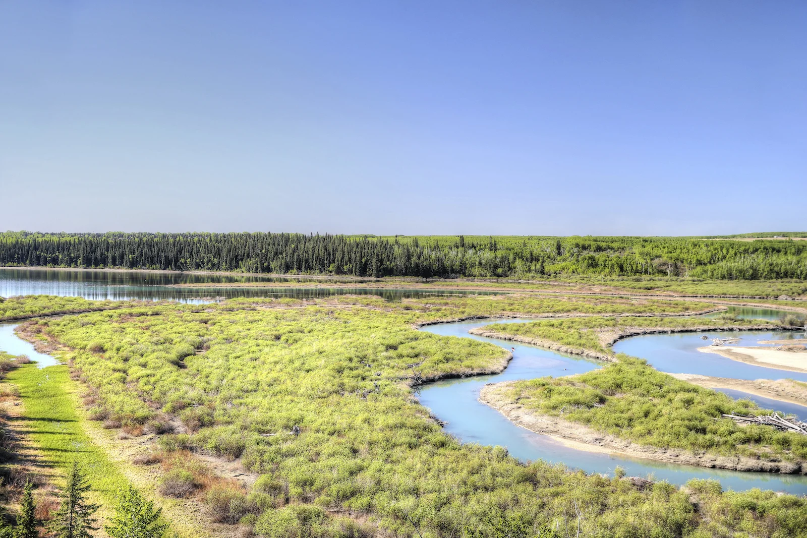 2016 Weaslehead-14.JPG