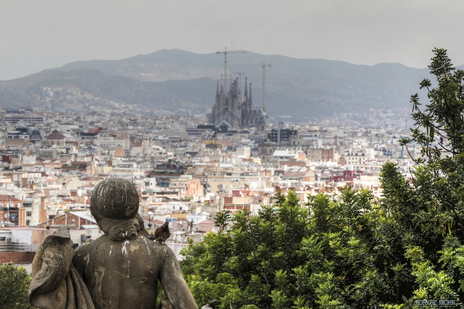 2016 Spain Urban-3.JPG