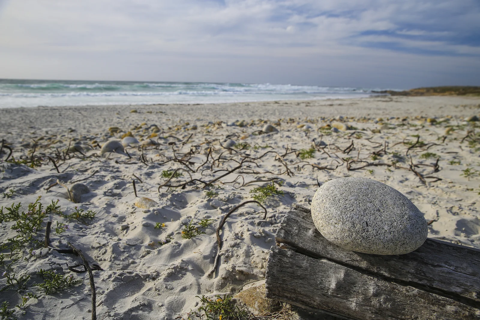 2016 Fathom Pebble Beach-26.JPG