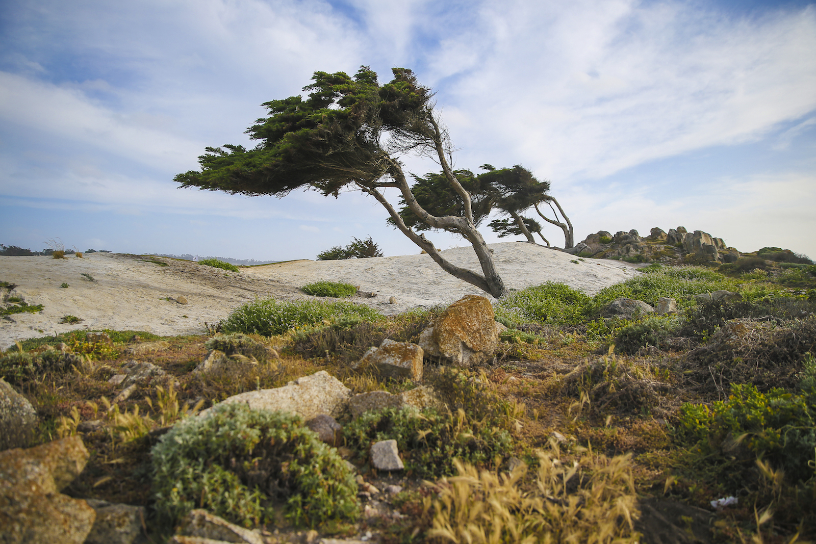 2016 Fathom Pebble Beach-33.JPG