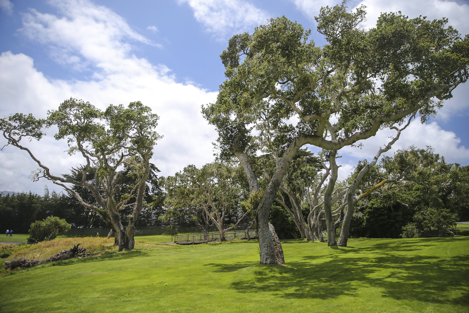 2016 Fathom Pebble Beach-101.JPG