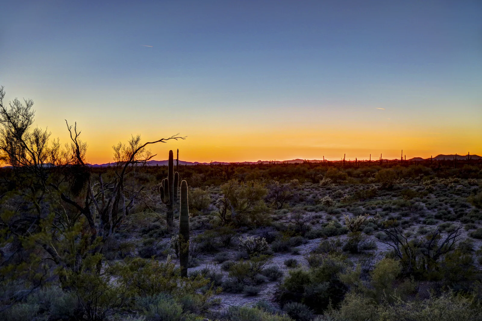 2016 Yarnell Final-57.JPG