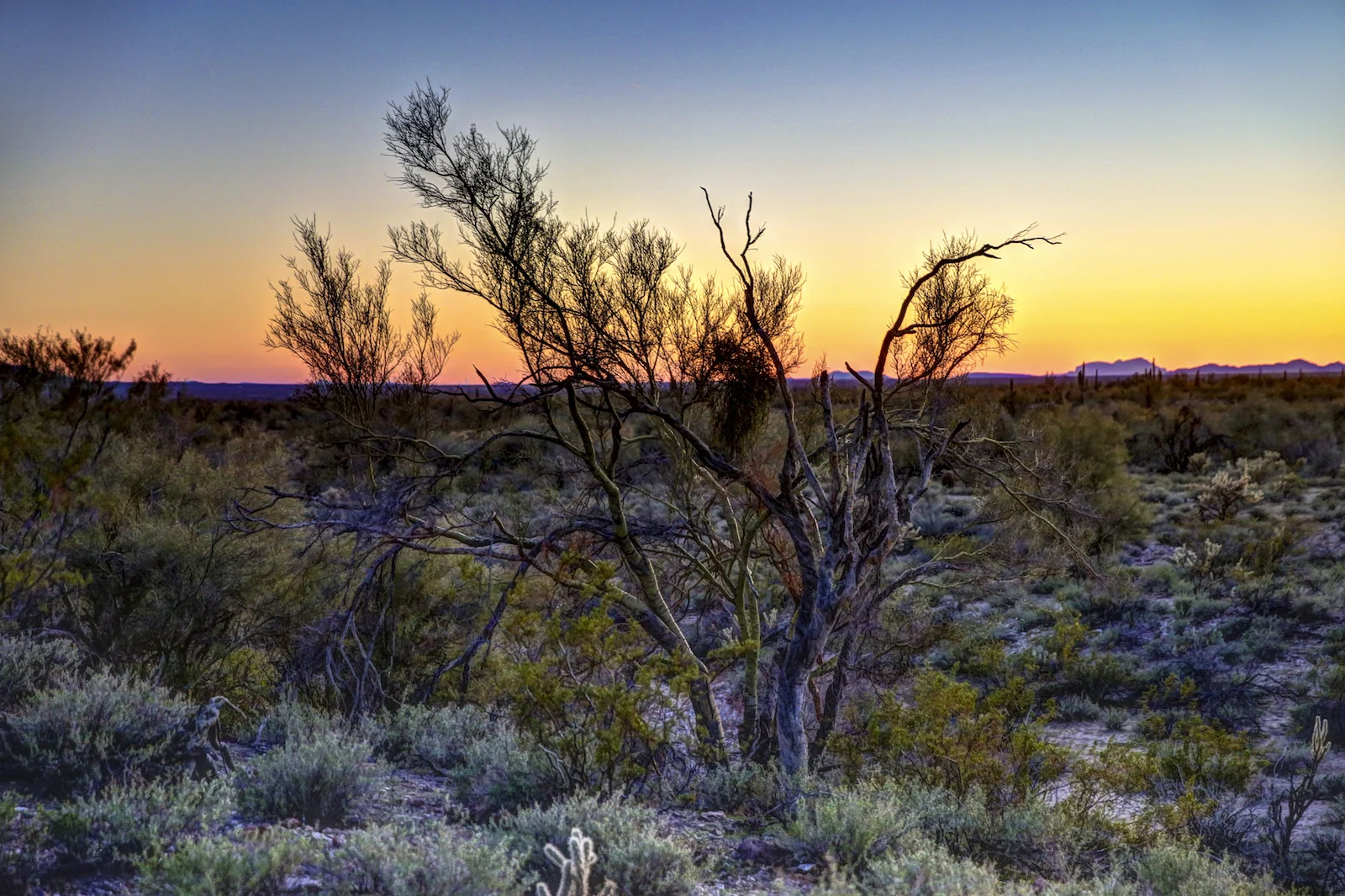 2016 Yarnell Final-58.JPG