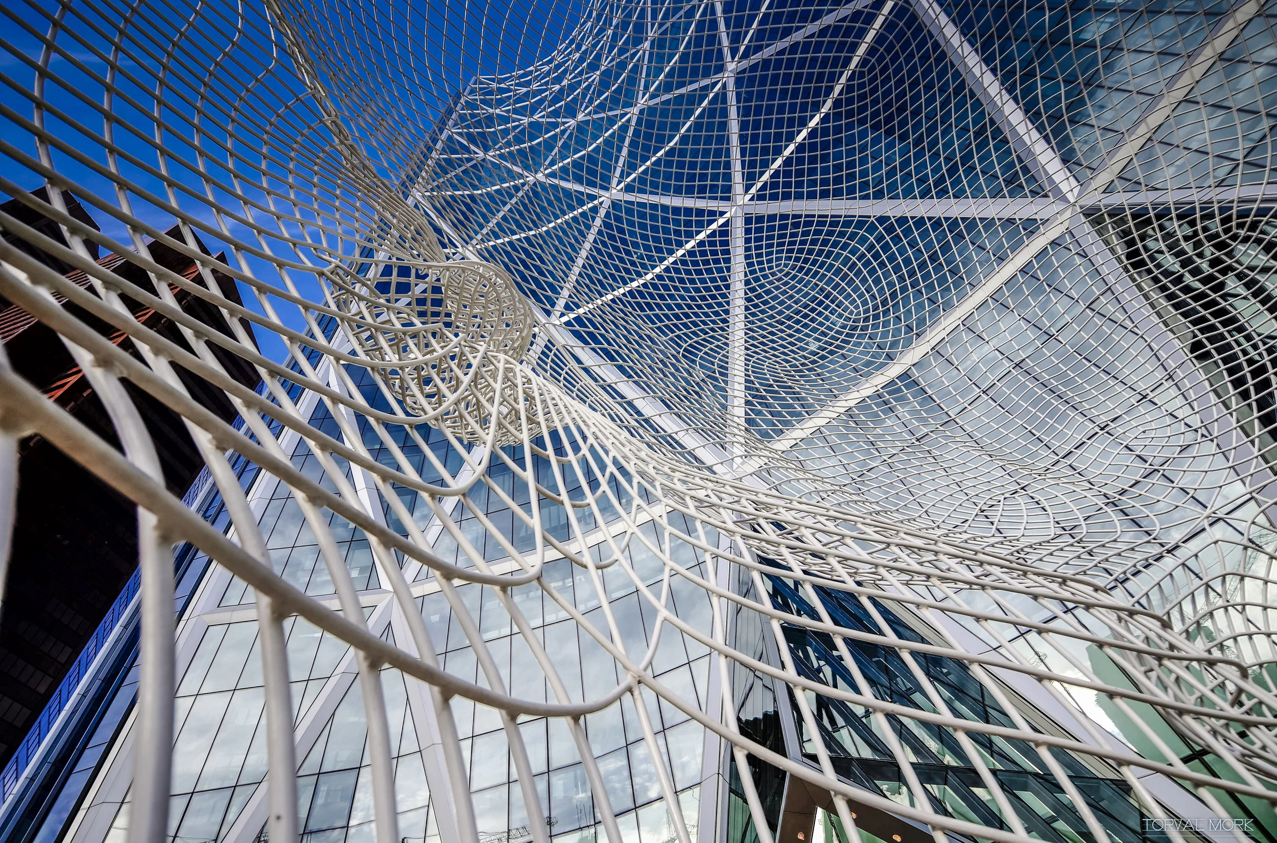 2016 1113 Calgary Urban-1.JPG