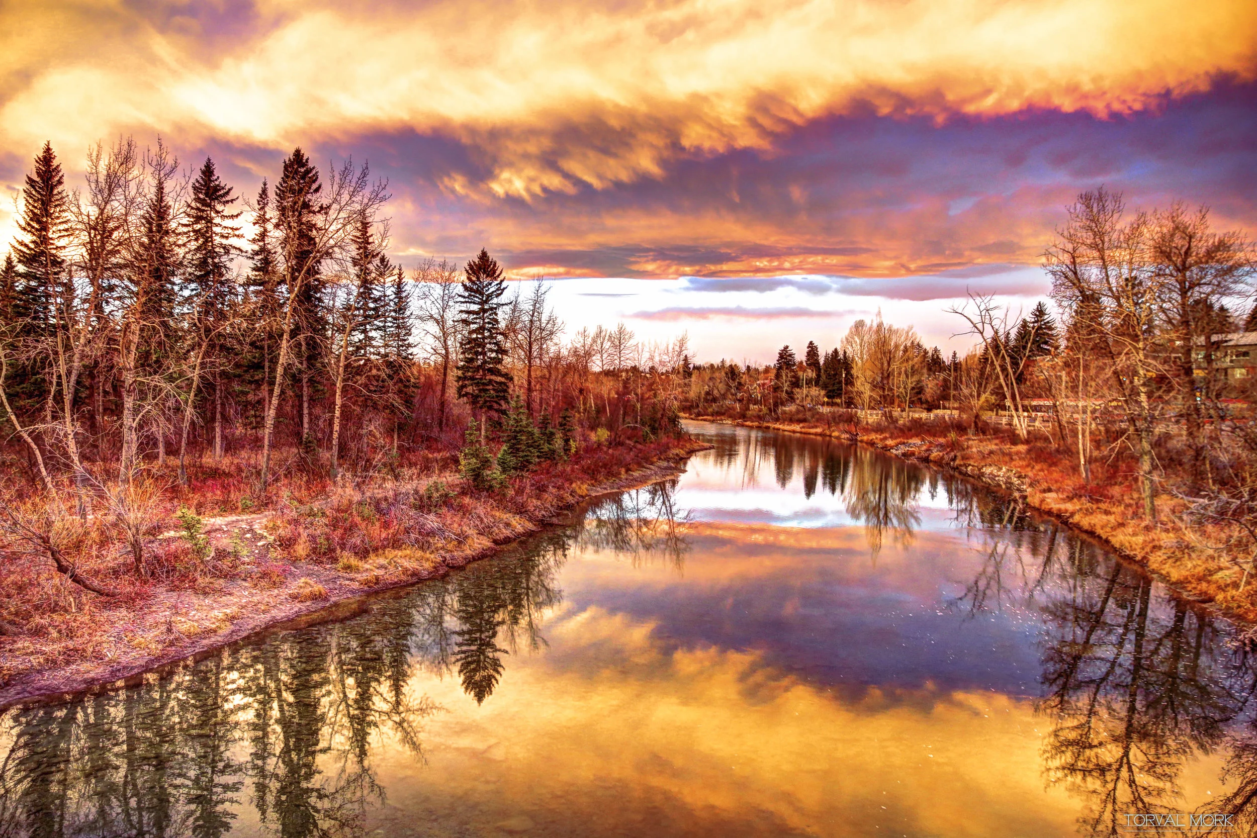 2016 1113 Calgary Urban-5.JPG