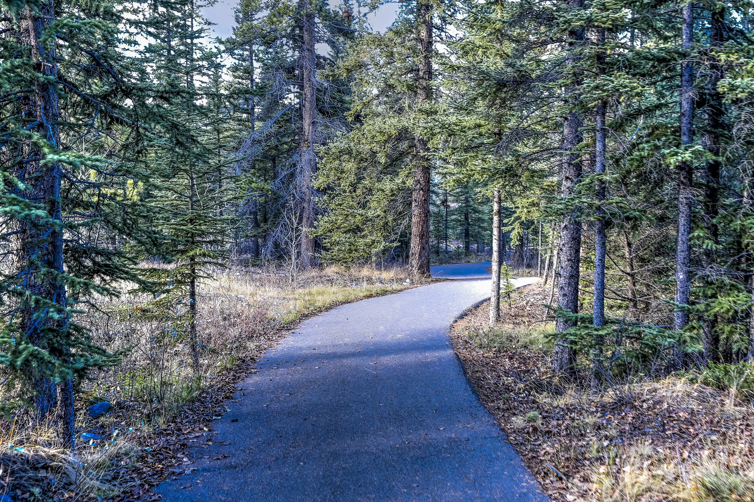 2016 702 Canmore-30.JPG