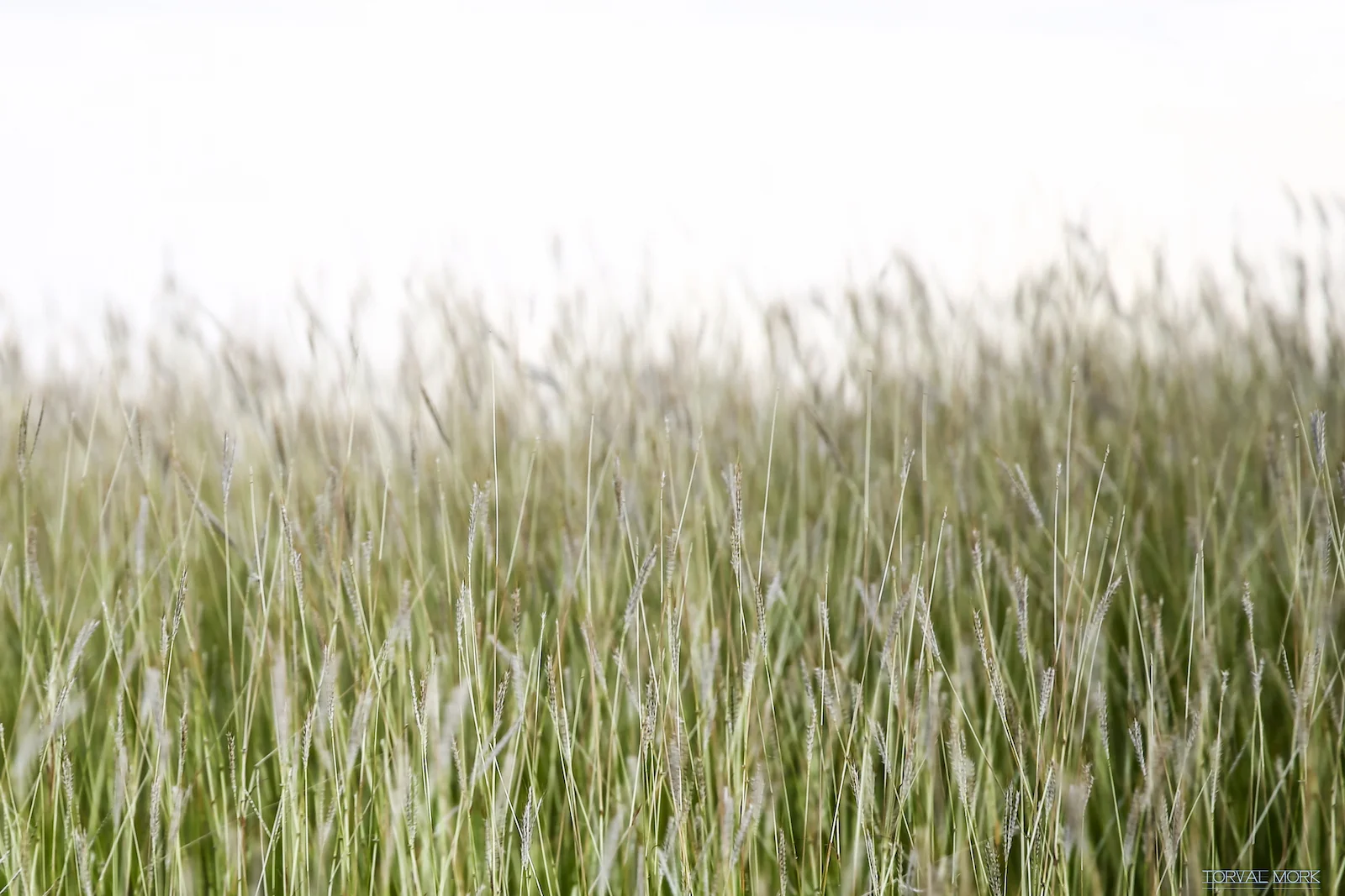 2016 ANTIGUA TRAVEL-11.JPG