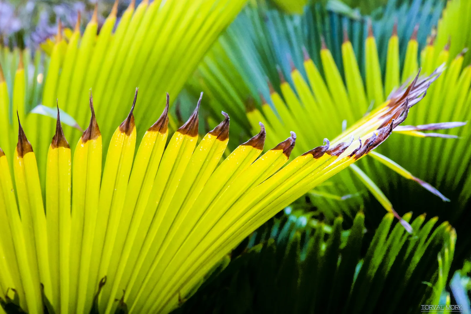 2016 ANTIGUA TRAVEL-15.JPG