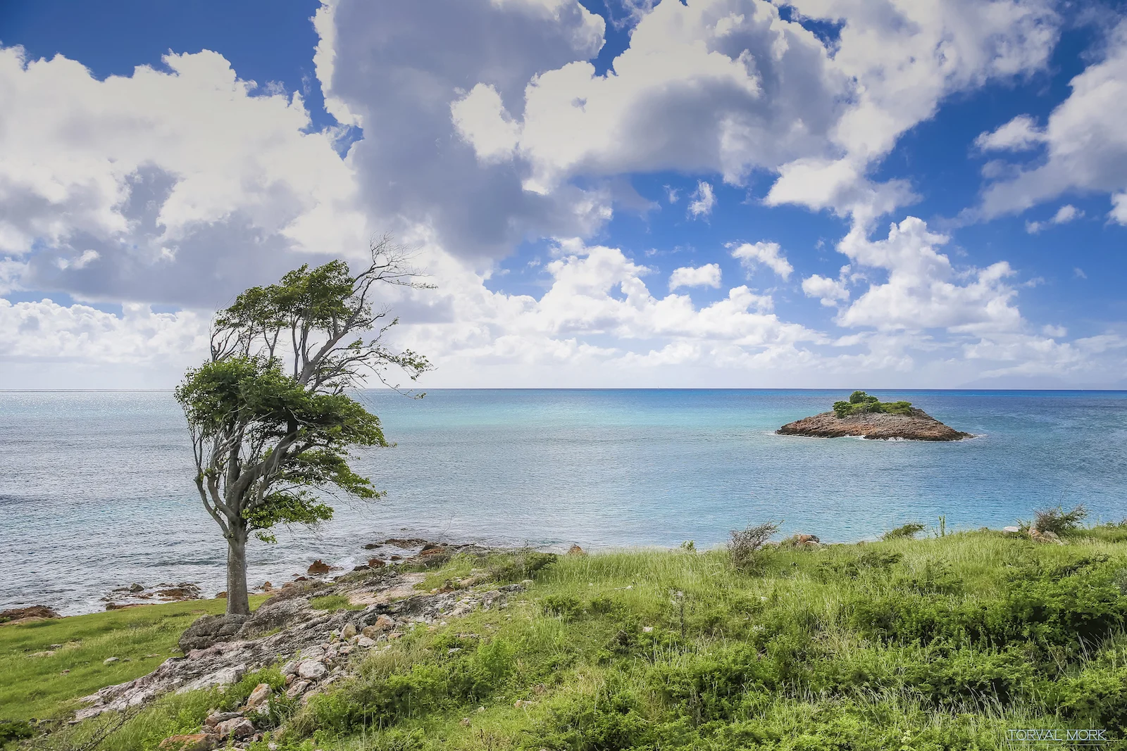 2016 ANTIGUA TRAVEL-40.JPG