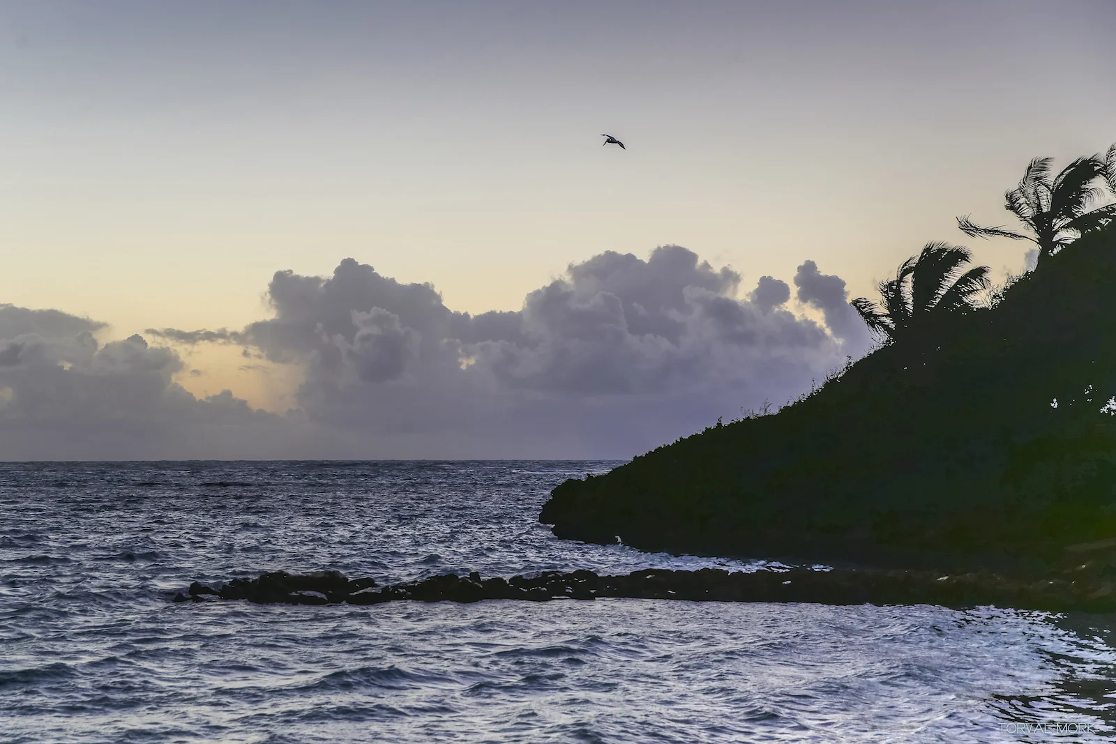 2016 ANTIGUA TRAVEL-48.JPG