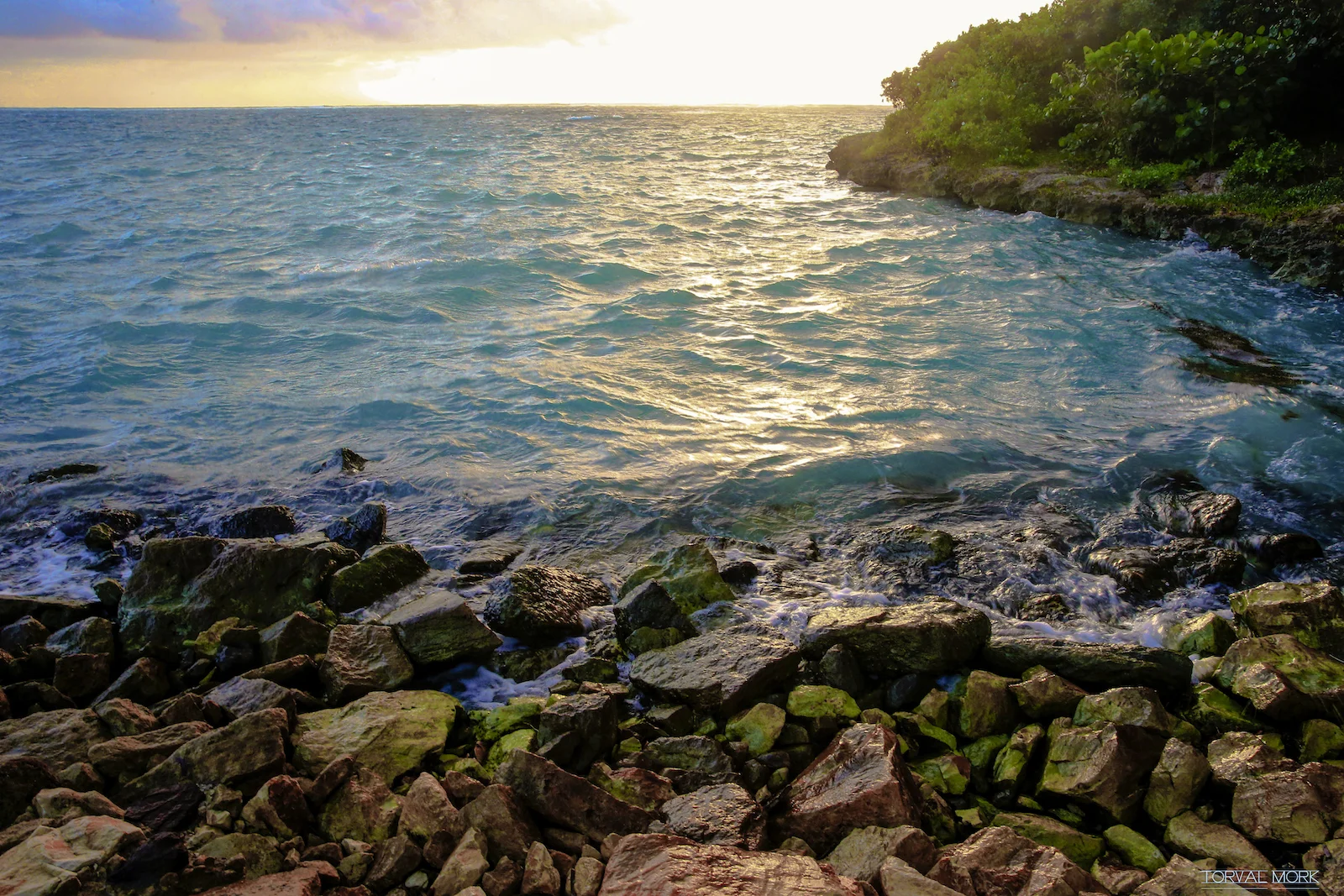 2016 ANTIGUA TRAVEL-53.JPG