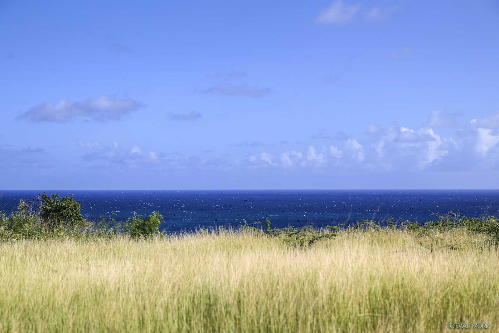 2016 ANTIGUA TRAVEL-59.JPG