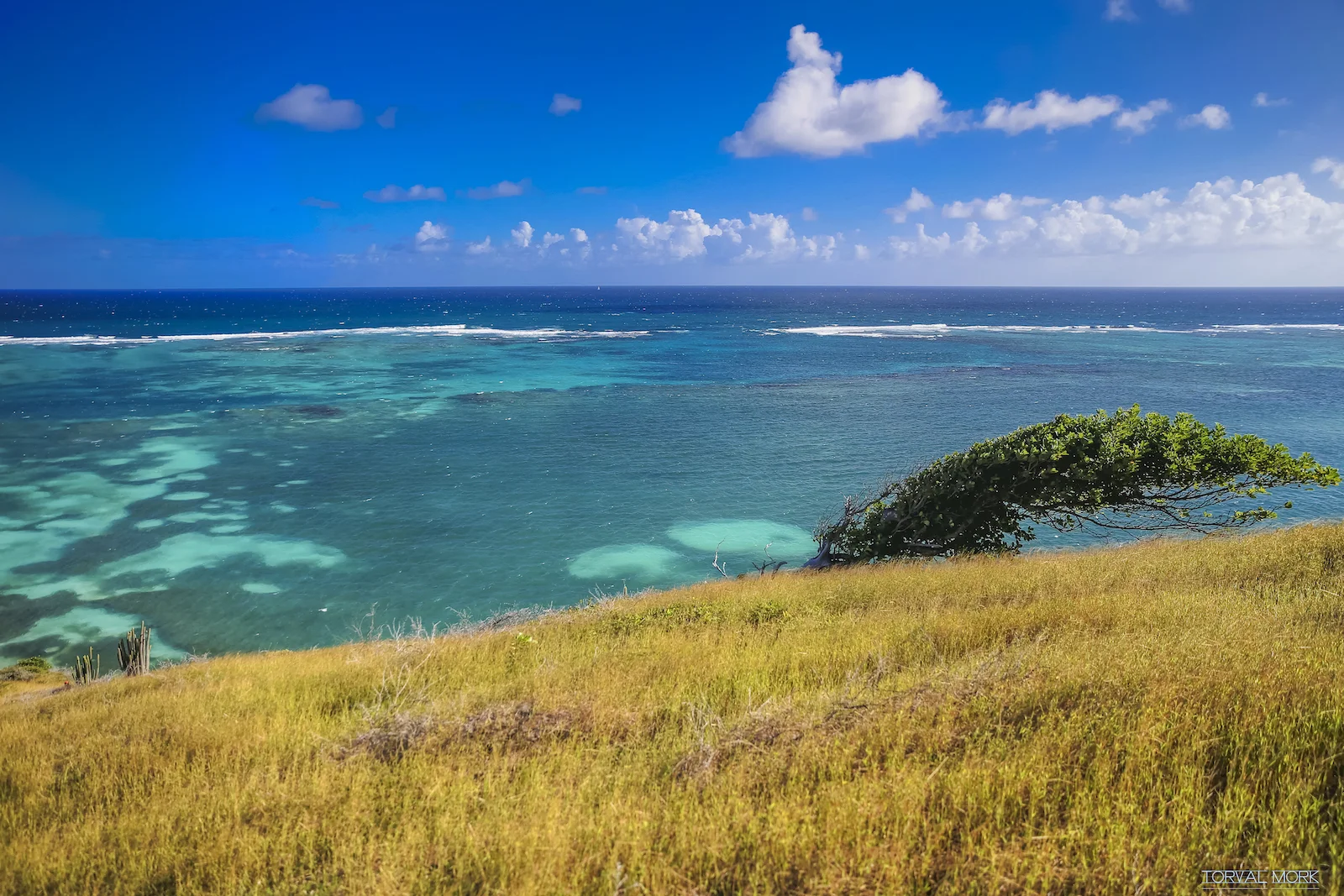 2016 ANTIGUA TRAVEL-61.JPG