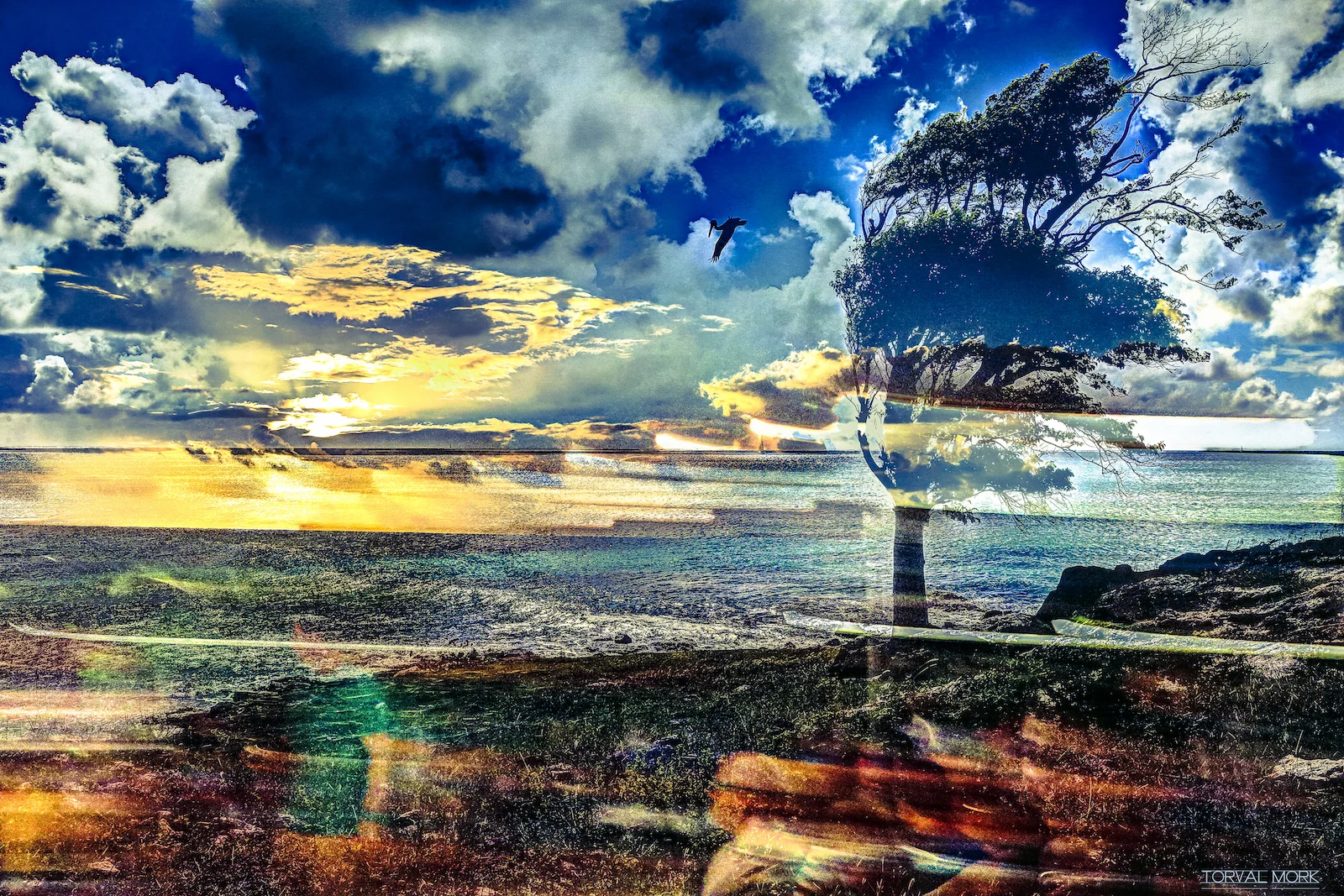 2016 ANTIGUA ABSTRACT-2.JPG