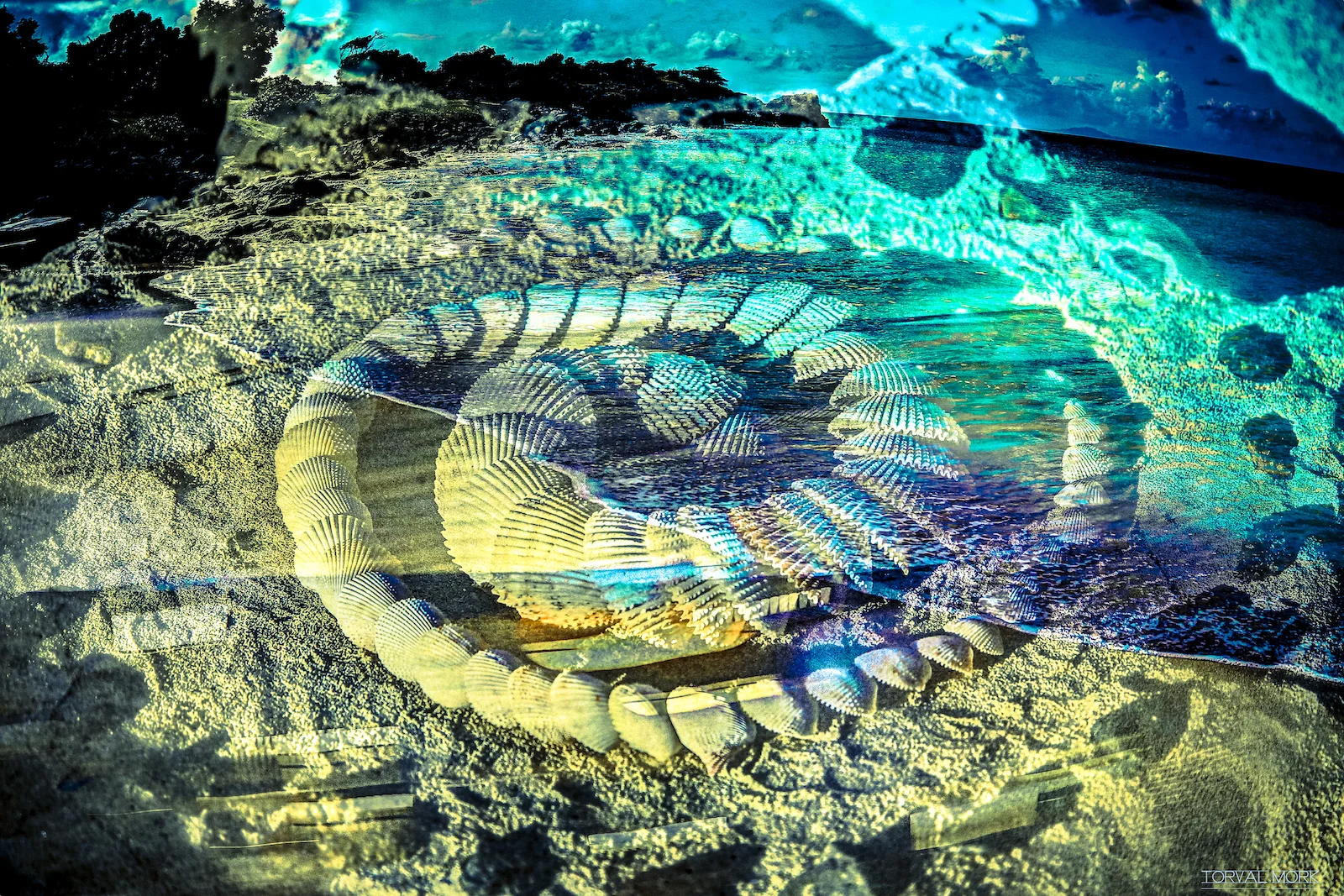 2016 ANTIGUA ABSTRACT-8.JPG