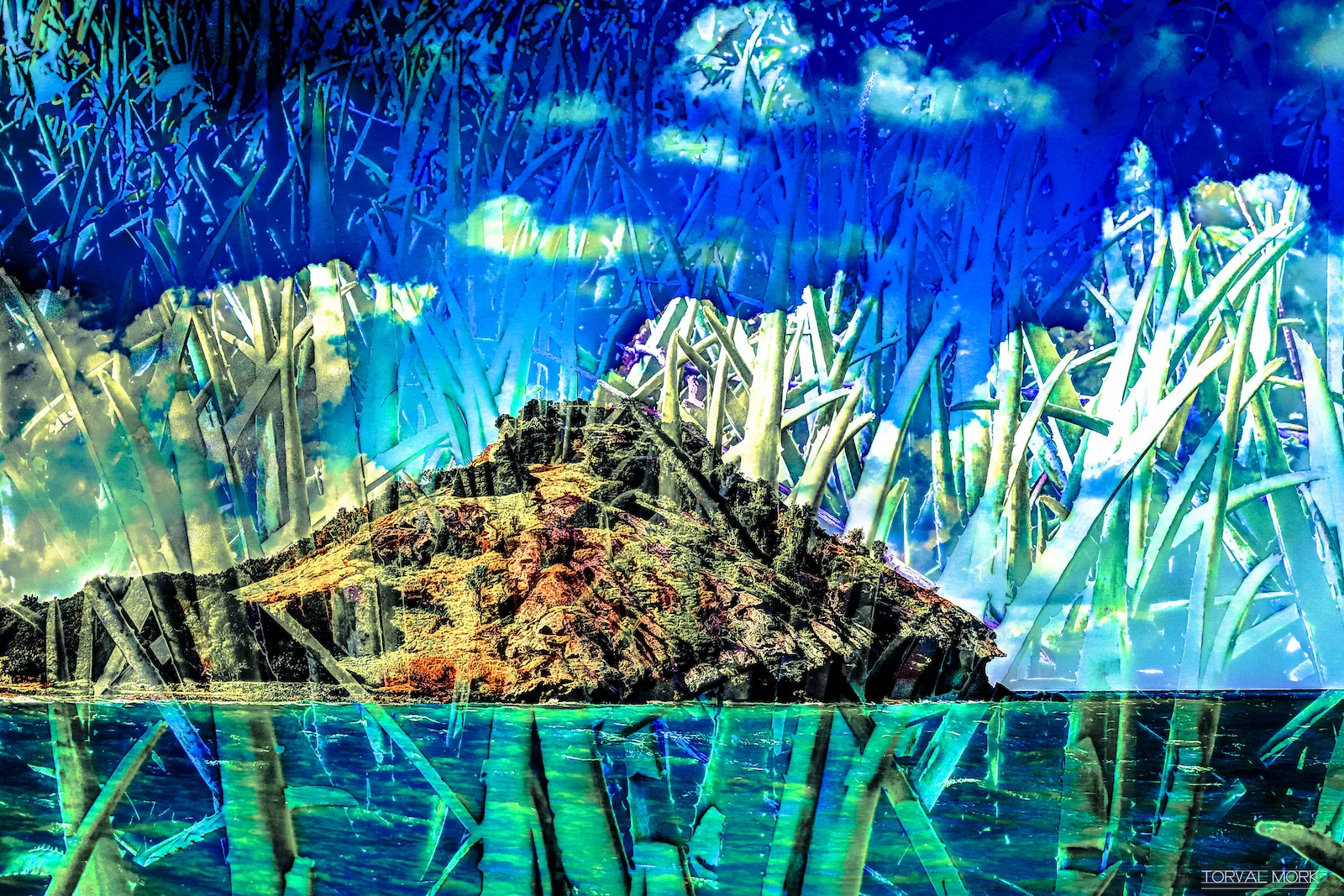 2016 ANTIGUA ABSTRACT-9.JPG