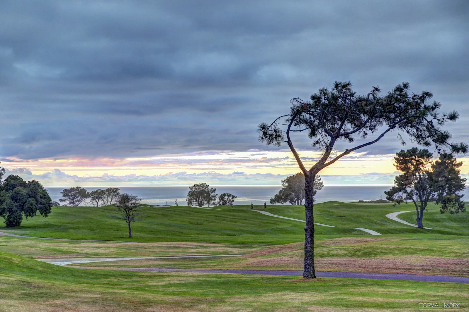 2016 SAN DIEGO-27.JPG