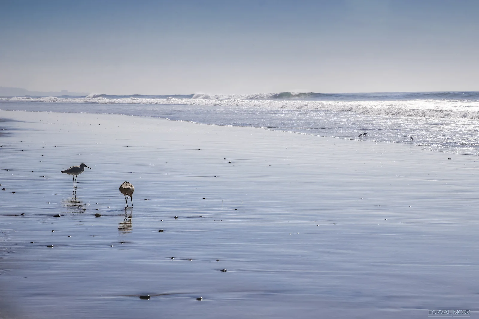 2016 SAN DIEGO-38.JPG