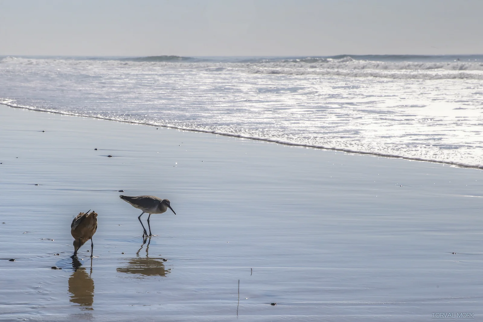 2016 SAN DIEGO-39.JPG