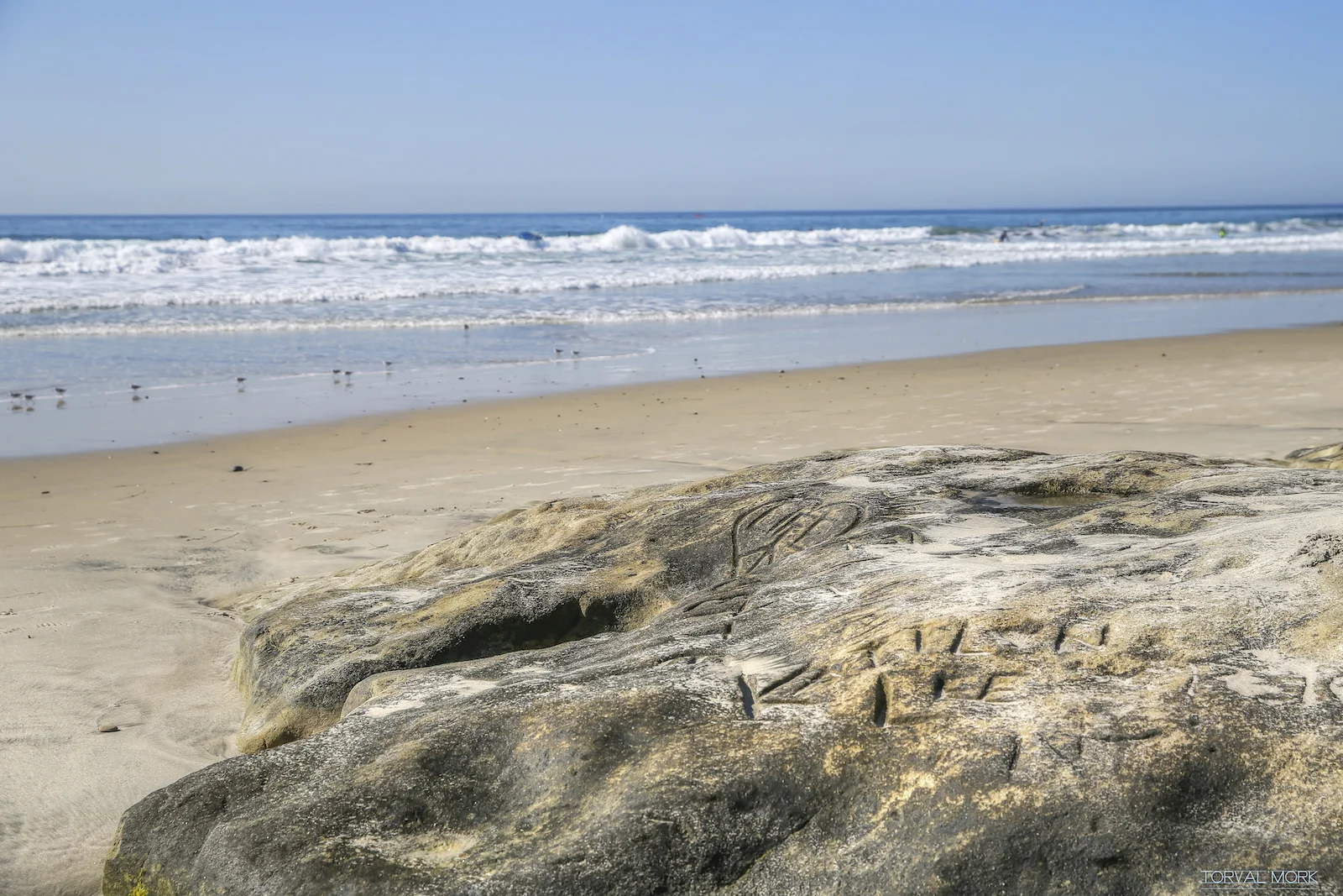 2016 SAN DIEGO-42.JPG