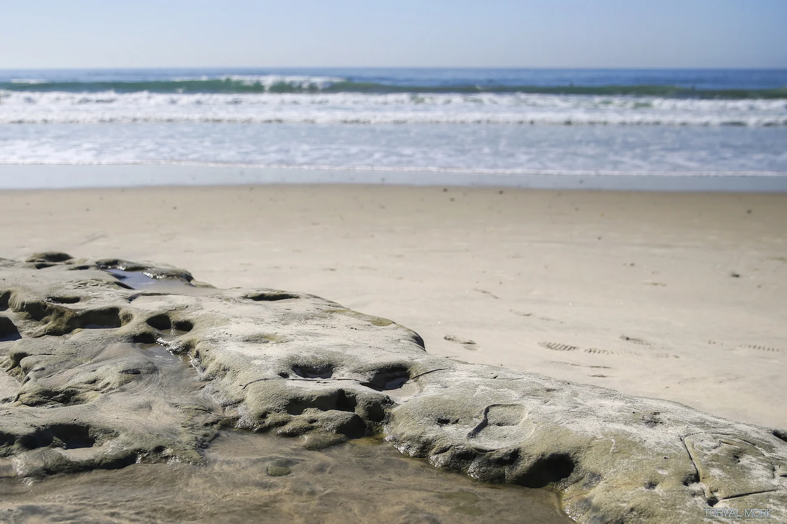 2016 SAN DIEGO-44.JPG