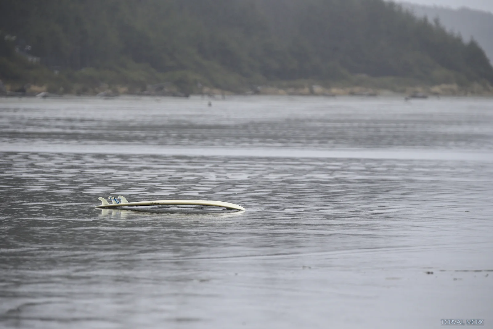 2017 TOFINO SURFERS-7.JPG