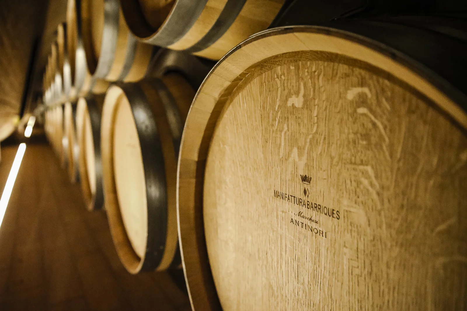 2017 Europe Antinori-12.JPG
