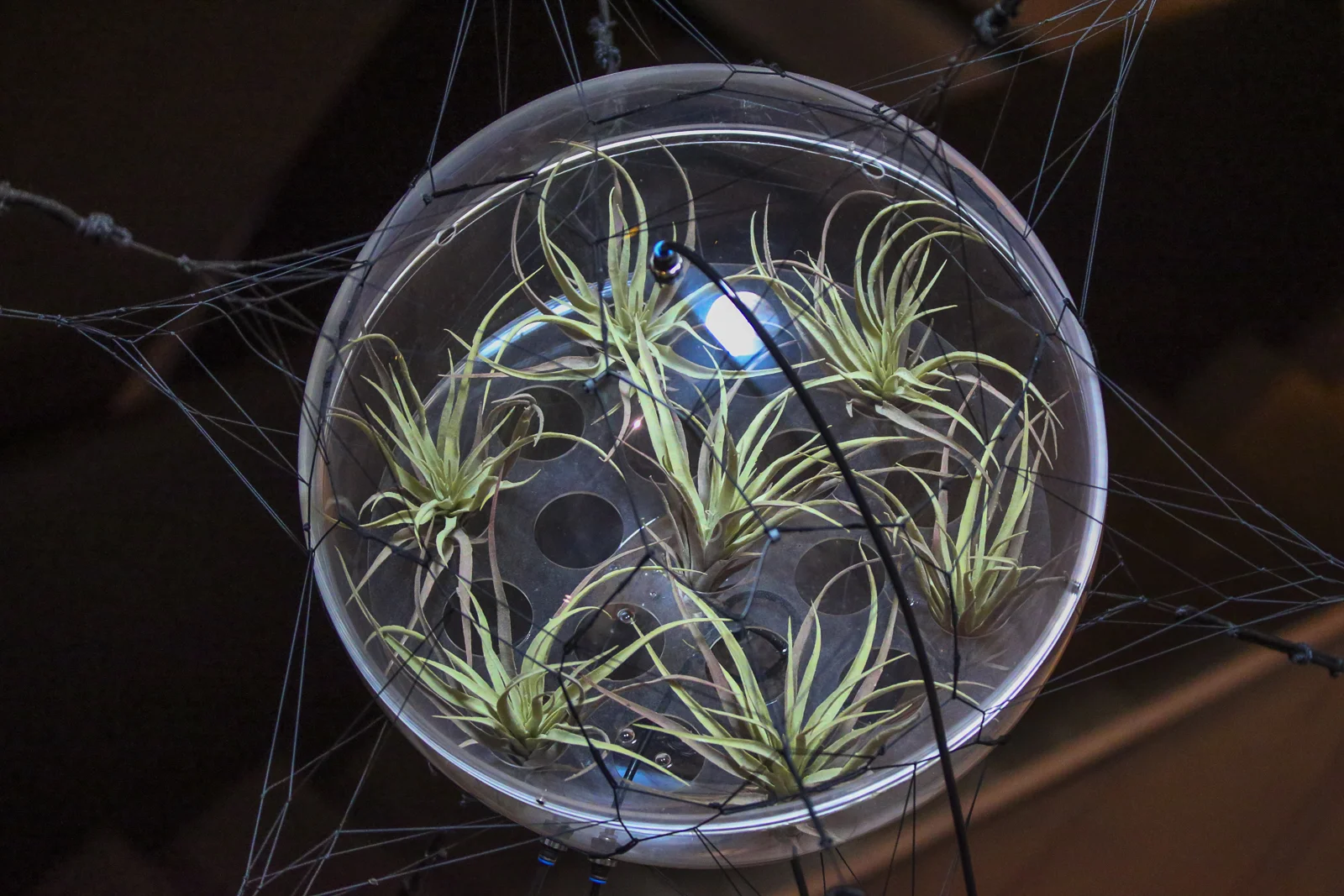 2017 Europe Antinori-16.JPG