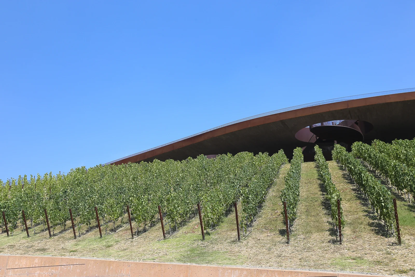 2017 Europe Antinori-22.JPG